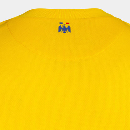 Romania Replica Jersey