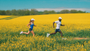<p>SPRING INTO ACTION</p>